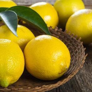 Limonu haftalarca taze tutmanın pratik yolları