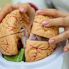 Yaşlanmanızı 5 yıl geciktiriyor! Bunama riskini %40'a kadar azaltıyor