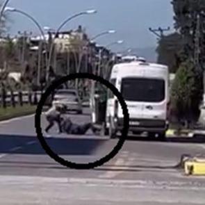 Yere yatırıp yumrukladı: Tartıştığı s&uuml;r&uuml;c&uuml;y&uuml; acımasızca d&ouml;vd&uuml;