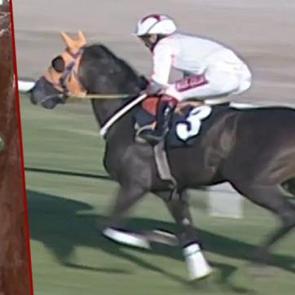 CHP'li belediye a&ccedil;ıklamamıştı Halka at eti yediren firma S&uuml;leymancı &ccedil;ıktı