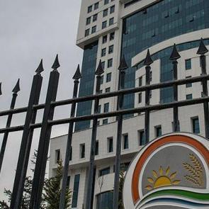 Hayvanları kilo alsınlar diye &ccedil;amura g&ouml;mm&uuml;şler! Bakanlık devreye girdi