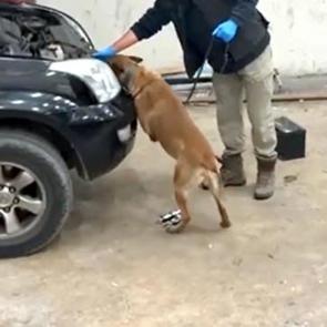 Kapıkule&rsquo;de otomobilde 8 kilo 60 gram kokain ele ge&ccedil;irildi