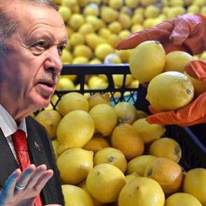 Limon fiyatları 100 lirayı aşmıştı! Cumhurbaşkanı Erdoğan devreye girdi