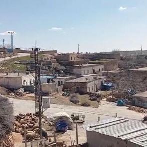 Mardin'de kuduz alarmı: Bir mahalle karantinaya alındı