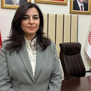 Su&ccedil;a s&uuml;r&uuml;klenen &ccedil;ocuklardan Meclis&rsquo;e mektup: &ldquo;Keşke ilk su&ccedil;ta salınmasaydık&rdquo;