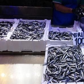 T&uuml;rkiye'den 2.7 milyon dolarlık hamsi ihracatı! En &ccedil;oğunu savaştaki &uuml;lke aldı