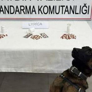 Aydın'da uyuşturucu operasyonu; 10 tutuklama