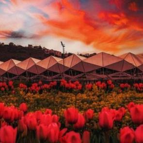 S&uuml;per Lig kul&uuml;pleri bayramın coşkusunu yaşıyor! Peş peşe mesajlar