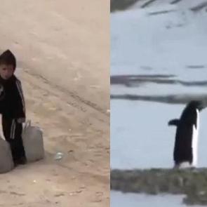 Gazze'de &ccedil;ocuk olmak... Bir penguen kadar konuşulmayacak