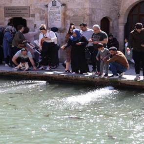 En b&uuml;y&uuml;k doğal akvaryum! Şanlıurfa&rsquo;da g&uuml;neşli havayı g&ouml;ren Balıklıg&ouml;l&rsquo;e akın etti