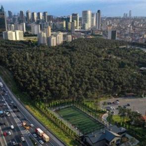 İstanbul'da 'ısı adası' etkisi: Kentte iklim değişiyor!