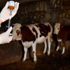 K&uuml;tahya'da alarm: 15 k&ouml;y karantinaya alındı!