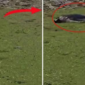 İsrail baskın d&uuml;zenleyip sivilleri vurdu: Ne İran ne L&uuml;bnan!