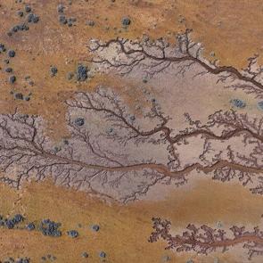 Kendiliğinden oluşan hayat ağacı! Kayseri&rsquo;de g&ouml;l havzasında ilgin&ccedil; g&ouml;r&uuml;nt&uuml;ler