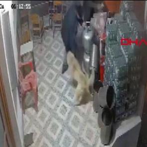 K&ouml;pek saldırısında parmağı koptu: O anlar kamerada