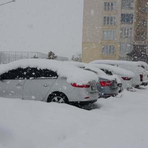 Bitlis'te lapa lapa kar yağışı: 82 k&ouml;y yolu ulaşıma kapandı