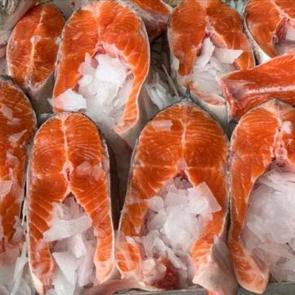 T&uuml;rk somonuna talep b&uuml;y&uuml;k! 91 milyon doları aştı