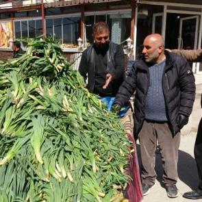 Doğada kendiliğinden yetişiyor! Kilogramı 100 TL 