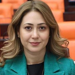 MHP'den devrim niteliğinde adım: 'Manevi Vatan' i&ccedil;in kanun teklifi