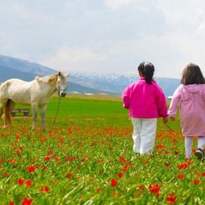 Sadece 3 hafta g&ouml;r&uuml;lebilen manzaralar: Muş Ovası, tescilli laleler ile şenlendi