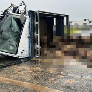 Siirt'te koyun y&uuml;kl&uuml; kamyonet ile otomobil &ccedil;arpıştı: 2 &ouml;l&uuml;, 3 yaralı