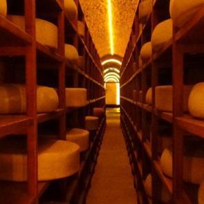 T&uuml;rkiye&rsquo;de ilk ve tek! Kars Peynir M&uuml;zesi turistlerin g&ouml;zdesi oldu