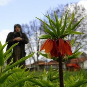 5 yıldır g&ouml;r&uuml;lm&uuml;yordu! Denizli&rsquo;de &ldquo;Ağlayan Gelin&rdquo; g&ouml;renleri sevince boğdu