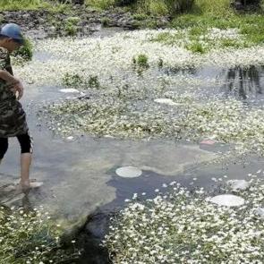 G&ouml;ldeki &ccedil;&ouml;pleri toplayan &ccedil;oban  &ccedil;evreyi kirletenlere sitemde bulundu