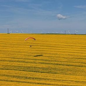 Sarı tarlalar &uuml;zerinde s&uuml;z&uuml;ld&uuml;! Tekirdağ'da kanola tarlaları mest etti