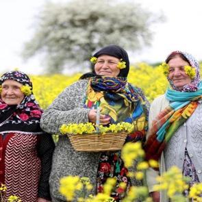 Trakya&rsquo;da agro turizm hareketliliği! Masalsı manzaralara yoğun ilgi