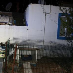 Eski dosyalar a&ccedil;ıldı! Kaza değil cinayet &ccedil;ıktı