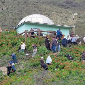 G&ouml;rmek i&ccedil;in Trabzon&rsquo;dan Van&rsquo;a geldiler: Tabiat harikası y&uuml;z&uuml;n&uuml; g&ouml;sterdi