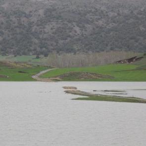 Şiddetli yağış sonrası sular atlında kaldı! 30 hane ile ulaşım kesildi!