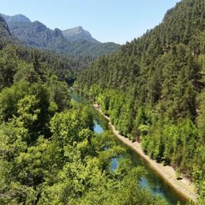 D&uuml;nyada sadece Fethiye ve Bucak&rsquo;ta var! Anadolu Sığla Ormanı baharla birlikte renklendi