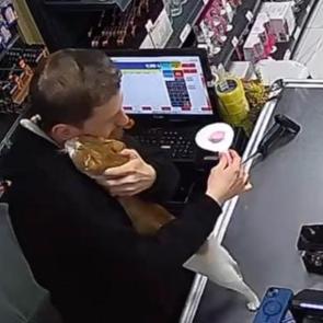 Esnafın hayat kurtaran şefkatine kediden her g&uuml;n vefa sarılması