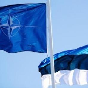 Estonya'da İHA d&uuml;ş&uuml;r&uuml;ld&uuml;! NATO'dan a&ccedil;ıklama