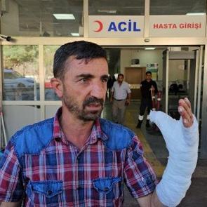 Şanlıurfa'da acil doldu taştı: Kurban kesimi sırasında 232 kişi yaralandı