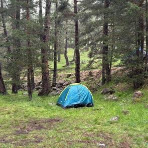 Bolu'da piknik faciası! Yıldırım d&uuml;şt&uuml;: 1'i ağır, 3 yaralı 