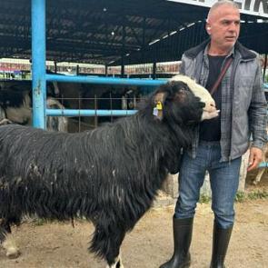 Bursa'da 120 kilogramlık ke&ccedil;inin fiyatını duyan kulaklarına inanamadı 