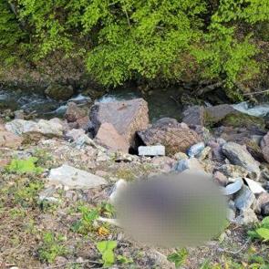 D&uuml;zce'de &ouml;l&uuml; olarak bulunan adamın cinayete kurban gittiği ortaya &ccedil;ıktı 