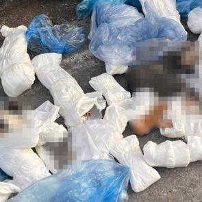 İzmir'de 33 kediyi &ouml;ld&uuml;ren veteriner tutuklandı! Başsavcının itirazı dikkat &ccedil;ekti 