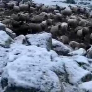 Kentte kış geri d&ouml;nd&uuml;! Termometreler eksi 5'i g&ouml;sterdi: Lapa lapa kar yağdı 