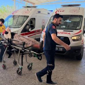Şanlıurfa'da yılan avı: 3'&uuml; &ccedil;ocuk 5 yaralı! 
