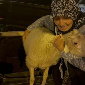 Ka&ccedil;an kuzuya benzetildi! '&Ccedil;orap' kavurma olmaktan son anda kurtuldu: İşte g&uuml;l&uuml;mseten olay