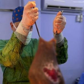 Aydın'da şoke eden operasyon: Karnından 40 kilogram kitle &ccedil;ıkarıldı