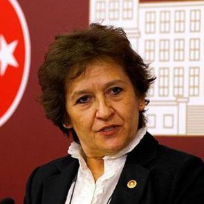 CHP&rsquo;li G&uuml;ler &ldquo;FET&Ouml; partilere yapışan bir deniz kabuklusu&rdquo; AK Parti silkelendi kurtuldu!