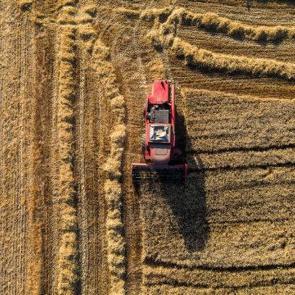 Tarımda rekor yılı: Tezgahlarda bolluk, ihracatta zirve bekleniyor
