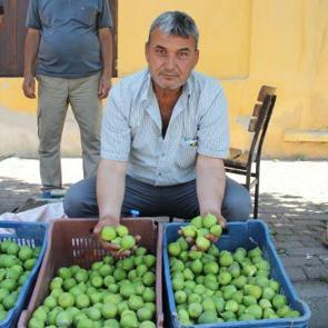 G&ouml;ren g&ouml;zlerine inanamadı! Pazarda meyve değil sinek satıyorlar! 500 liraya kapışılıyor