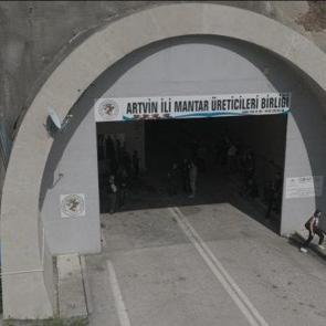 Serada değil t&uuml;nelde yetiştiriliyor! İlk hasat yapıldı: Hedef 360 ton