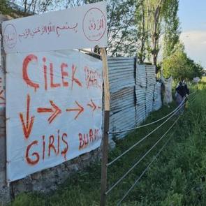 Tarladan halka &ccedil;ilek satışı: Aracıları aradan &ccedil;ıkardı vatandaş akın ediyor
